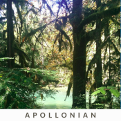 album-apollonian-175.png