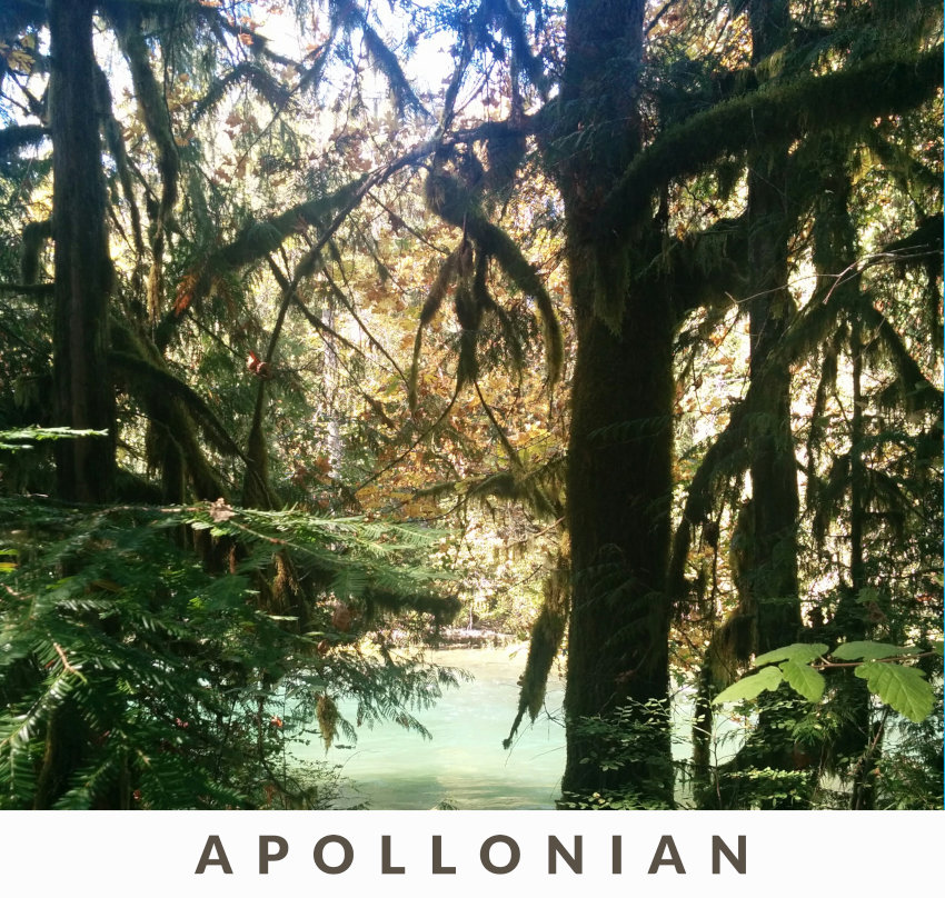 album-apollonian-850.jpg