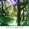 album-apollonian-95.png