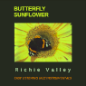 album-butterfly-sunflower-95.png